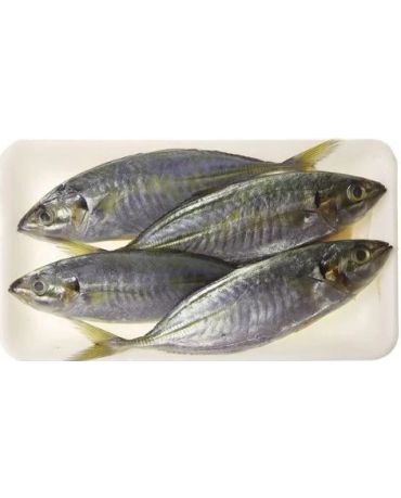 Selar Fish/ Ikan Selar Besar (2kg/pkt)