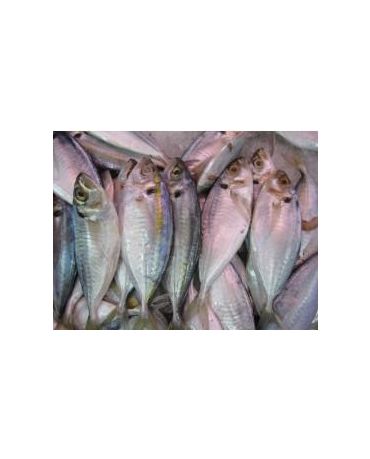 Kunning Fish / Ikan Selar Kuning Seekor (2kg/pkt)